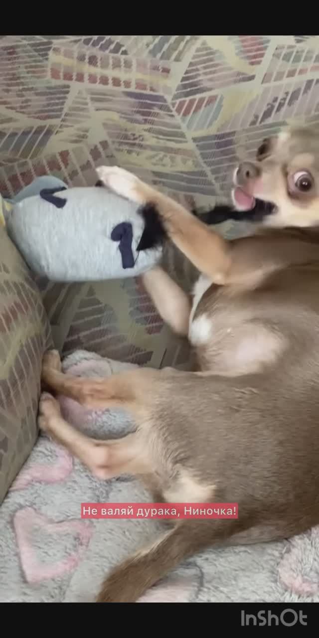 Не валяй дурака!