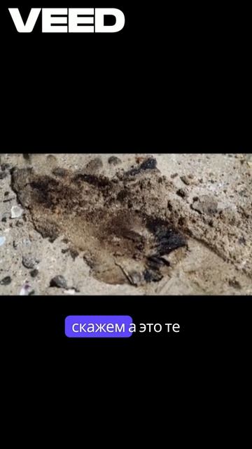 Проблемы с мазутом на пляже // VEED