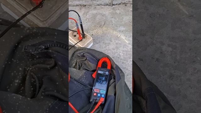 1000023107.mp4 (Собака наблюдает за измерением напряжения для тестирования сопротивления заземления)
