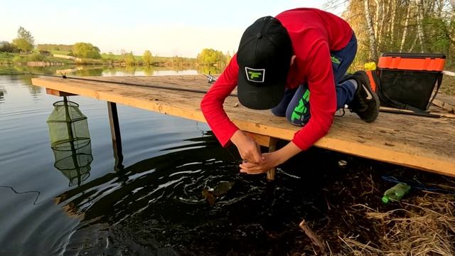 Бешеный клев карпа на поплавок. Пруд Бойцовский.