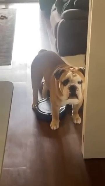 Ни одним мускулом не шелохнул 🙈