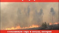 Лесные пожары