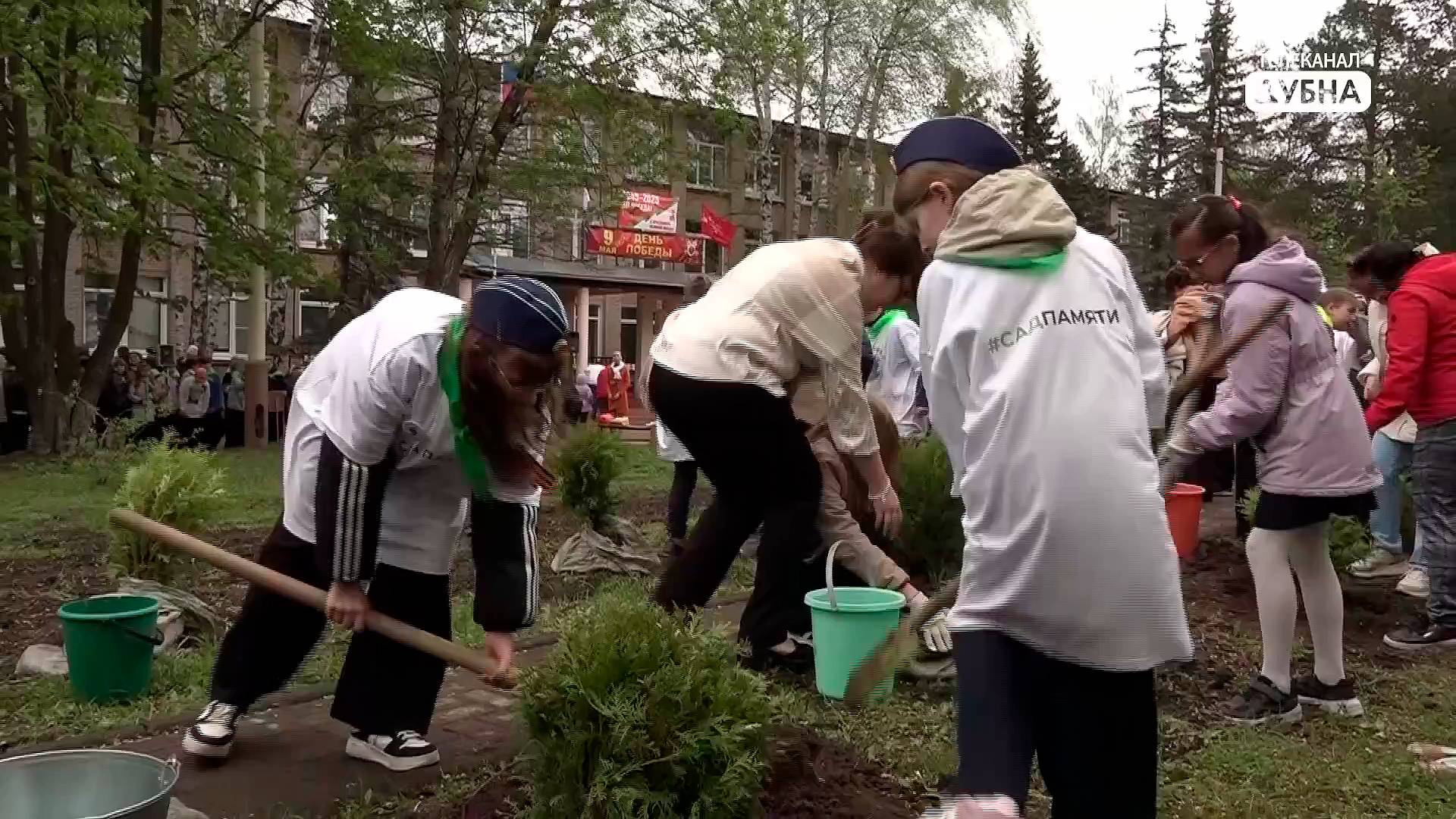 Новые деревья высадили в честь 80-летия Победы на Аллее Славы возле Школы №9 в Дубне
