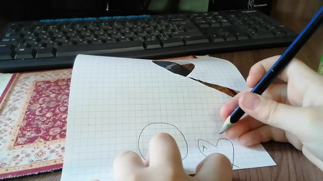 VID_20250505_155628.mp4