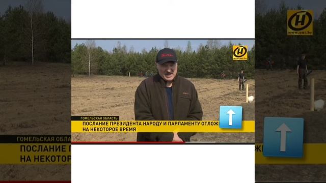 Собачка пописала за спиной лукашенко