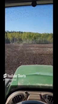 Даже я не поверил в чудо, которое за 3 месяца сделал ротоватор на FENDT 936 89261385927 #ротоватор