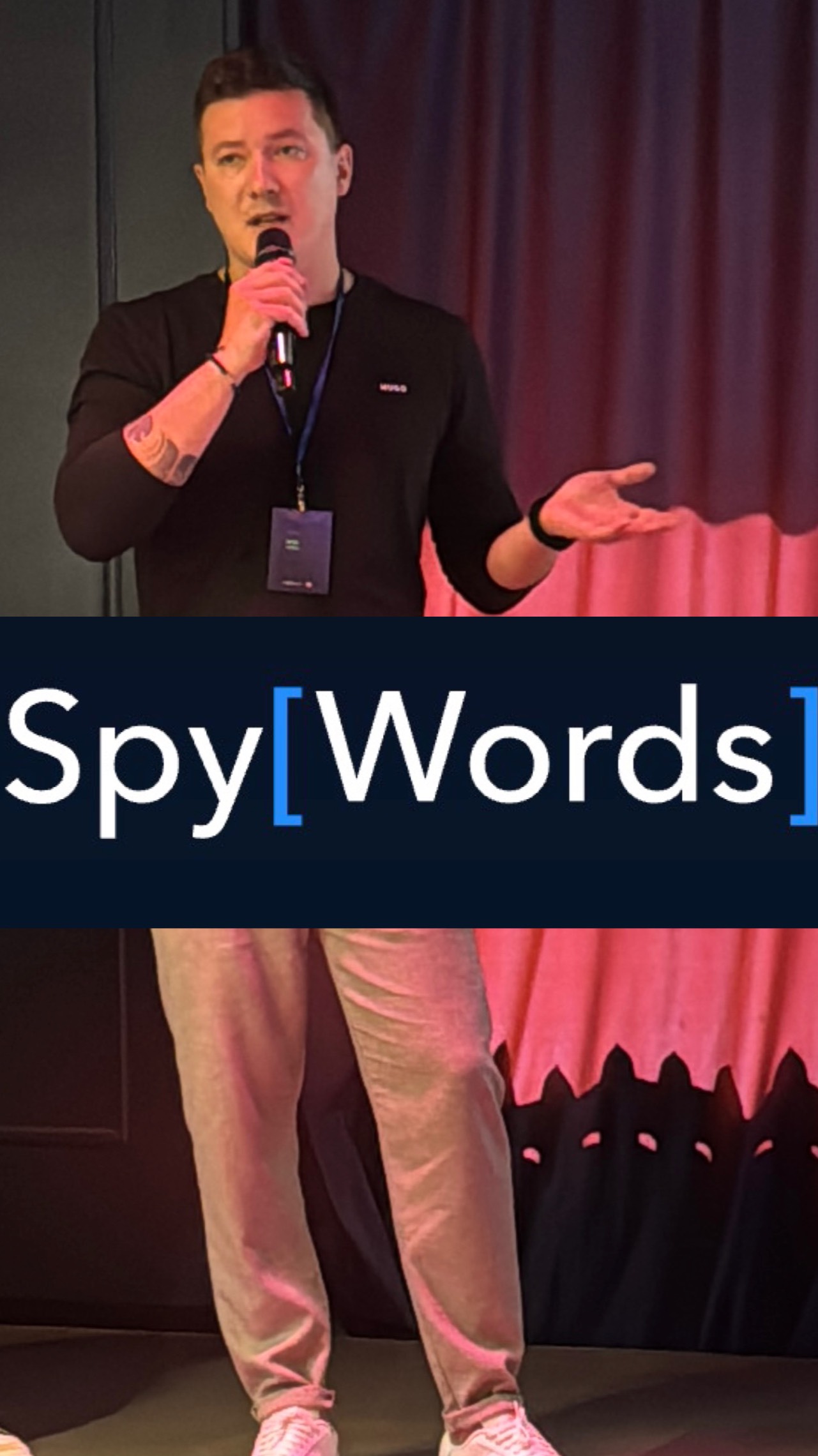 Как работает сервис SpyWords