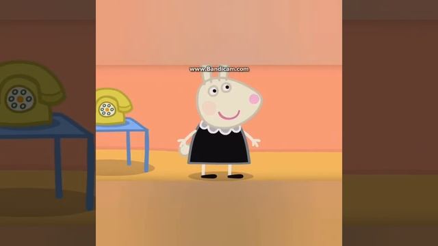 Свинка попа RYTP