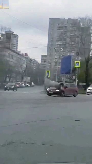 Конь "Орловский рысак" сбежал от хозяина и устроил ДТП🐴🚗