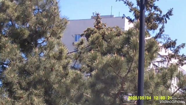 ЛЮБИМЫЙ МАРИУПОЛЬ накануне Великого Дня Победы 9 мая.