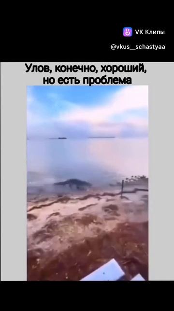 Удачный улов