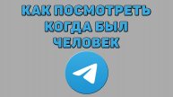 Как посмотреть когда был человек в Телеграмме