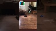 Исполнять с его габаритами было изначально плохой идеей