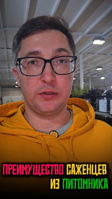 В чем преимущества саженцев из питомника? Рассказываем и показываем #Гарденмарт