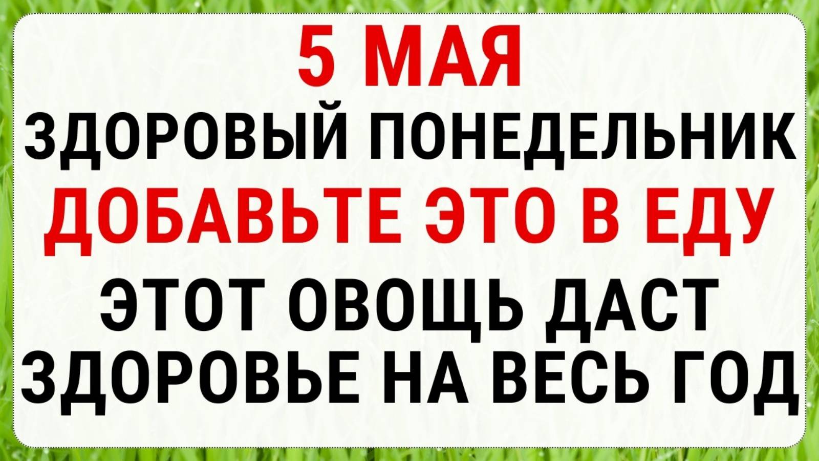5 мая — Луков день | Строгие запреты приметы и обряды