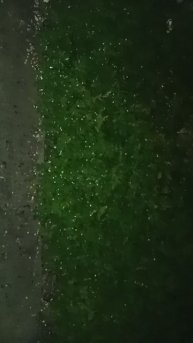 scene_output.mp4