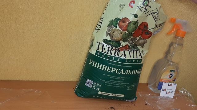 Помидоры на балконе