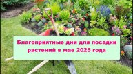 Благоприятные дни для посадки растений в мае 2025 года по Лунному календарю
