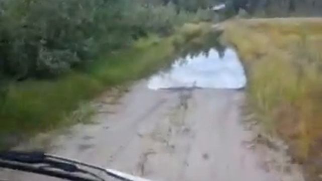 Плывем за грибами