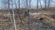 продолжаем охотить селезней малой уделал меня
