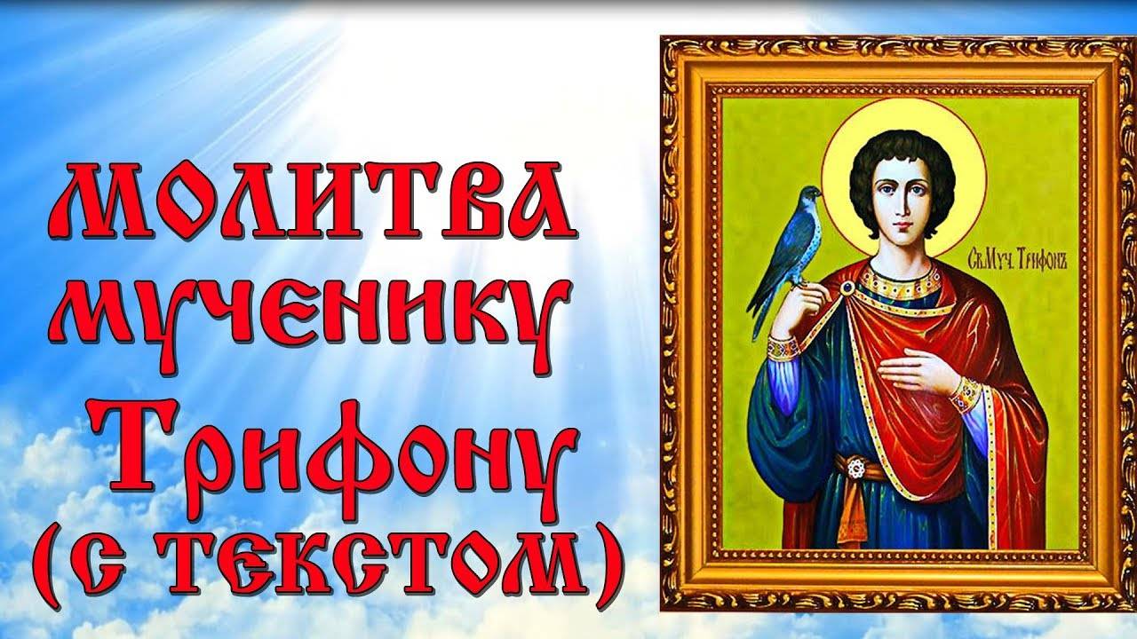 Молитва святому мученику Трифону (аудио молитва с текстом и иконами)