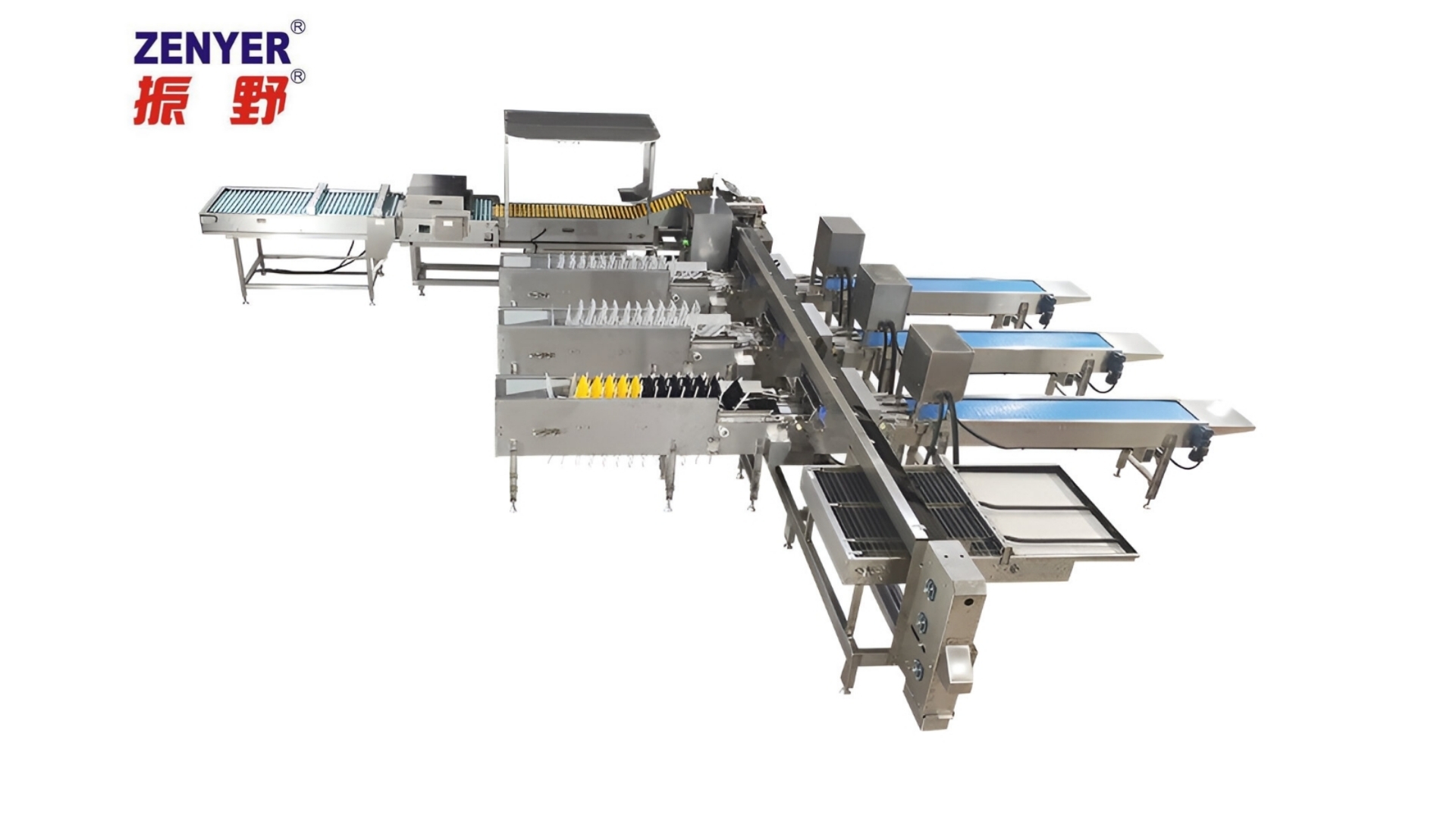 Zenyer 109 egg grader egg grading machine with automatic packers 30,000 eggs/hour