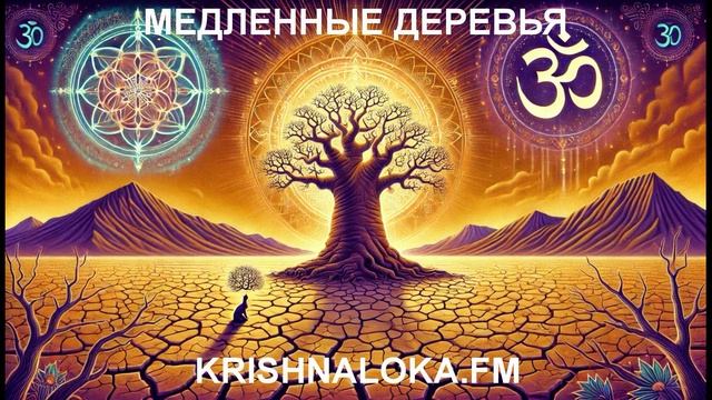Медленные деревья и Веды: в чём сила терпеливого роста