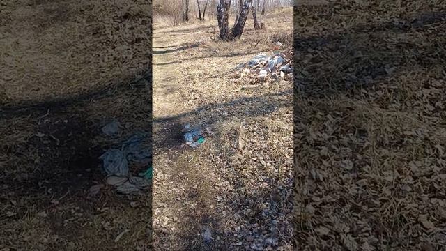 ЧИСТО ТАМ ГДЕ НЕ МУСОРЯТ.#дядяколясибиряк
