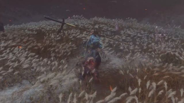 Sekiro: Shadows Die Twice иссин асина