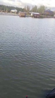 WhatsApp Video 2025-05-05 at 05.38.15