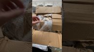 05-05-2025 Для Авито поддержки