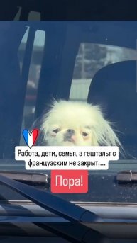 Комфортные форматы изучения французского по уровням в описании