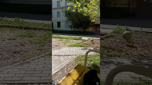 гуляю с друзьями