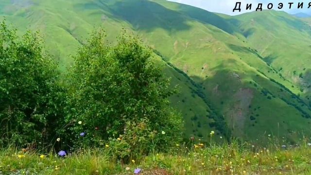 райский уголок Дагестана это ДИДОЭТИЯ
