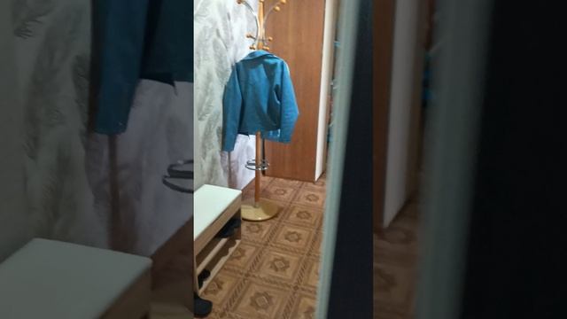 1000064028.mp4