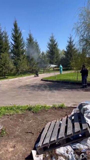 профилактика заболевания деревьев
