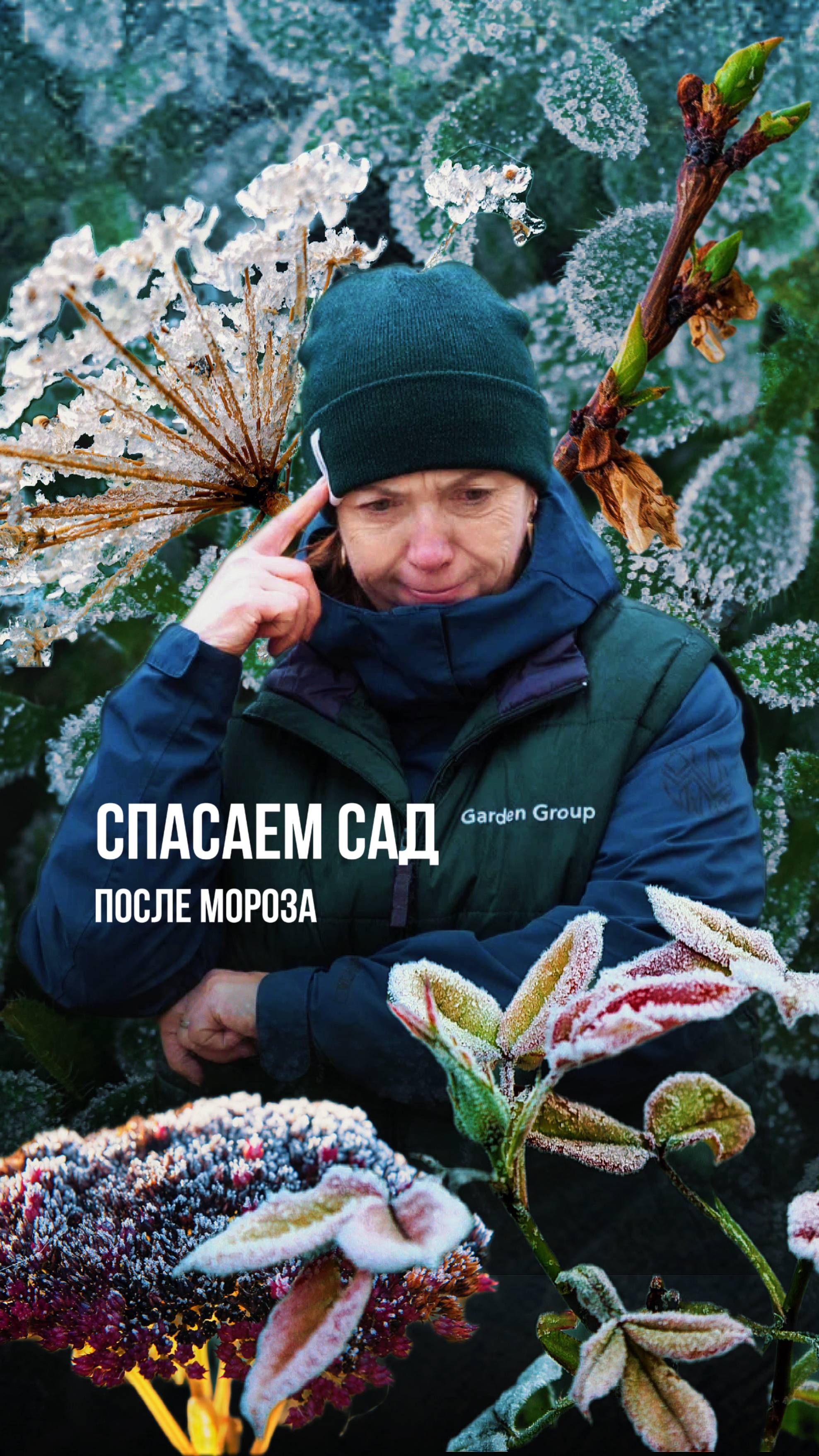 Внезапные заморозки застали врасплох и повредили ваши растения?