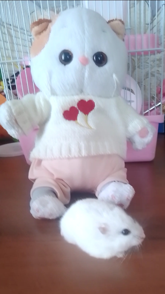 Что делает Луя???