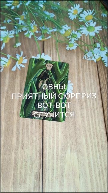 #ОВНЫ ПРИЯТНЫЙ СЮРПРИЗ ВОТ-ВОТ НА ПОРОГЕ 💖💕💕#ГаданиеНаБудущее #ТароГадание