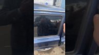 1000094589.mp4