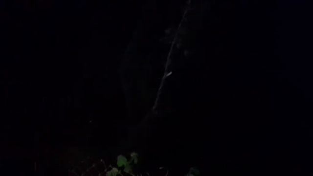 Находки для дачи! Реставрация дачного участка инвестиции в землю.mp4