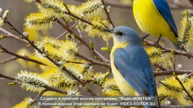 До мурашек... Я чувствую Бога/читает автор Н.Лагоша
