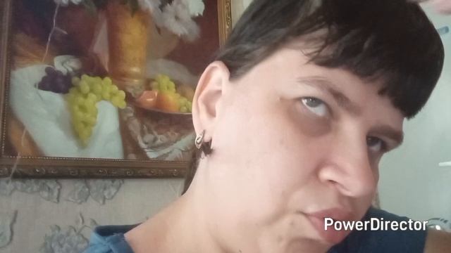 влог