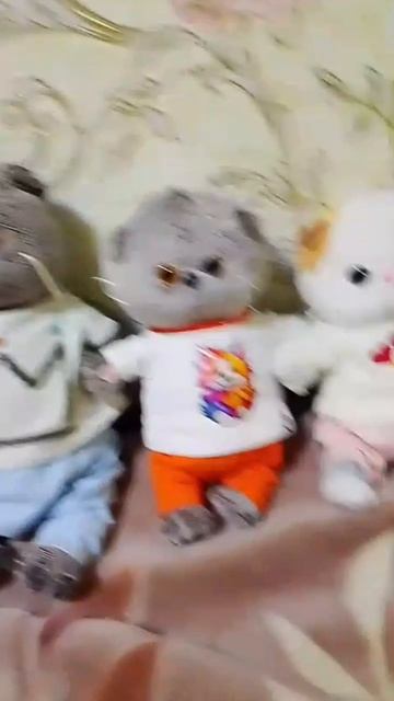 Три кота три хвоста 🐈🐱😺