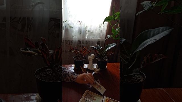 Таро.Что вам надо знать.