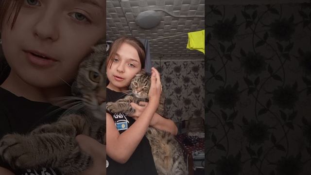 как правильно ухаживать за котиками