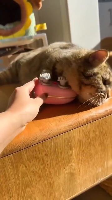 Расслабляющий массаж 🙂