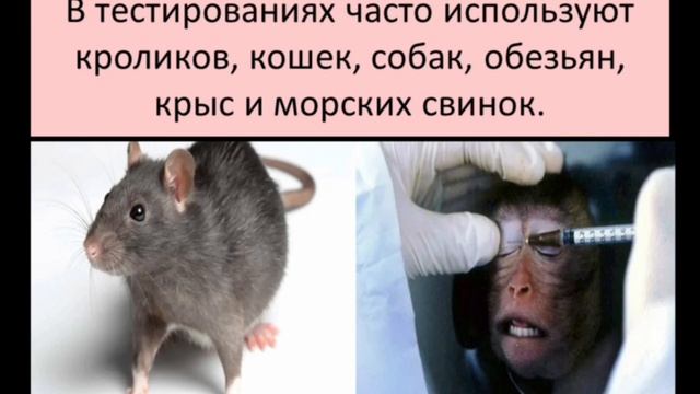 Тестирование косметики на животных