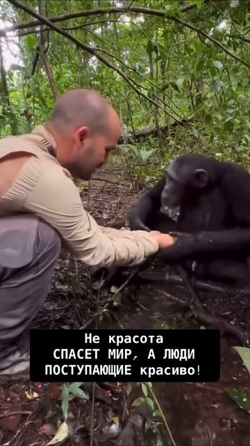 Люди, поступающие красиво