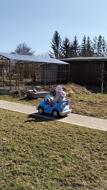 Тачки